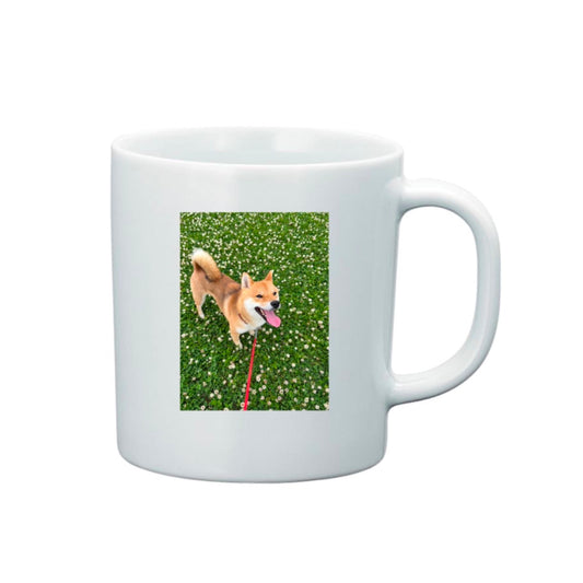 柴犬とんマグカップ