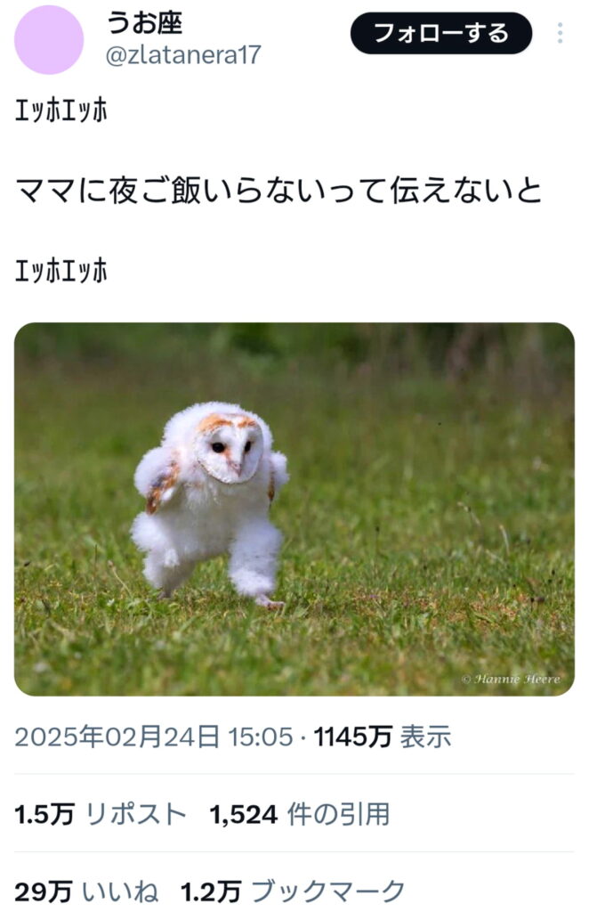 エッホエッホ うお座 X