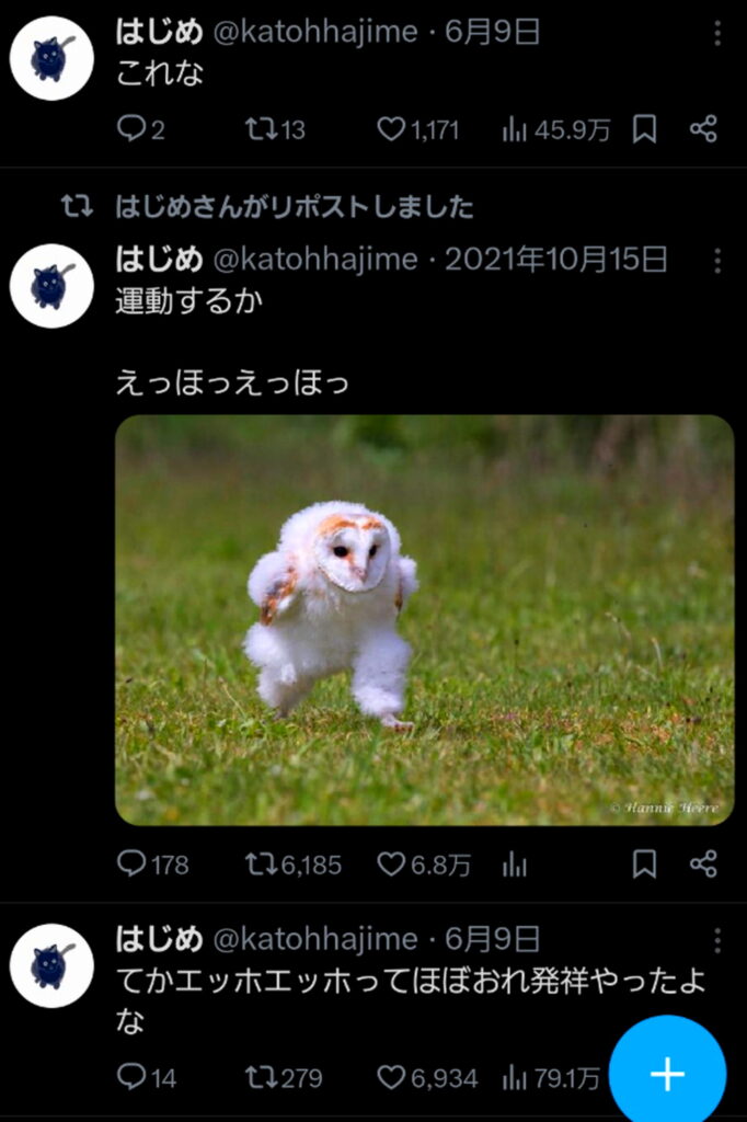 エッホエッホ 起源 発祥 はじめ X